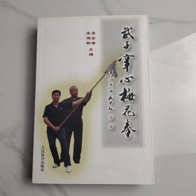 武子穿心梅花拳