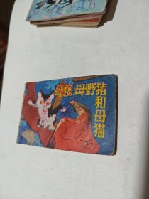小小连环画 母鹰母野猪和母猫