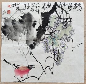 四川花鸟名家郭汝愚早期花鸟斗方真迹(34厘米，34厘米)
