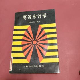 高等審計(jì)學(xué)