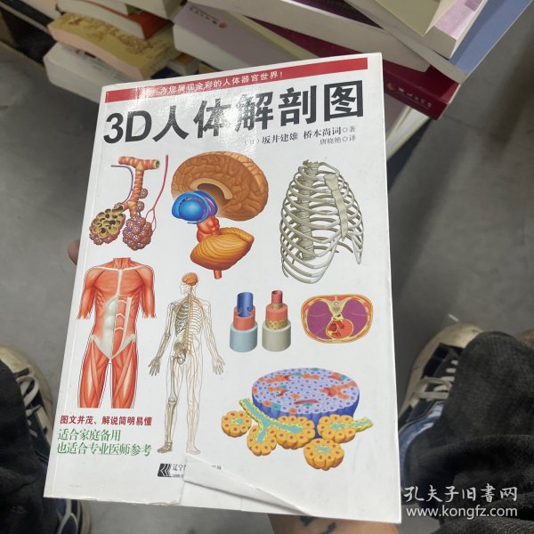 3D人体解剖图