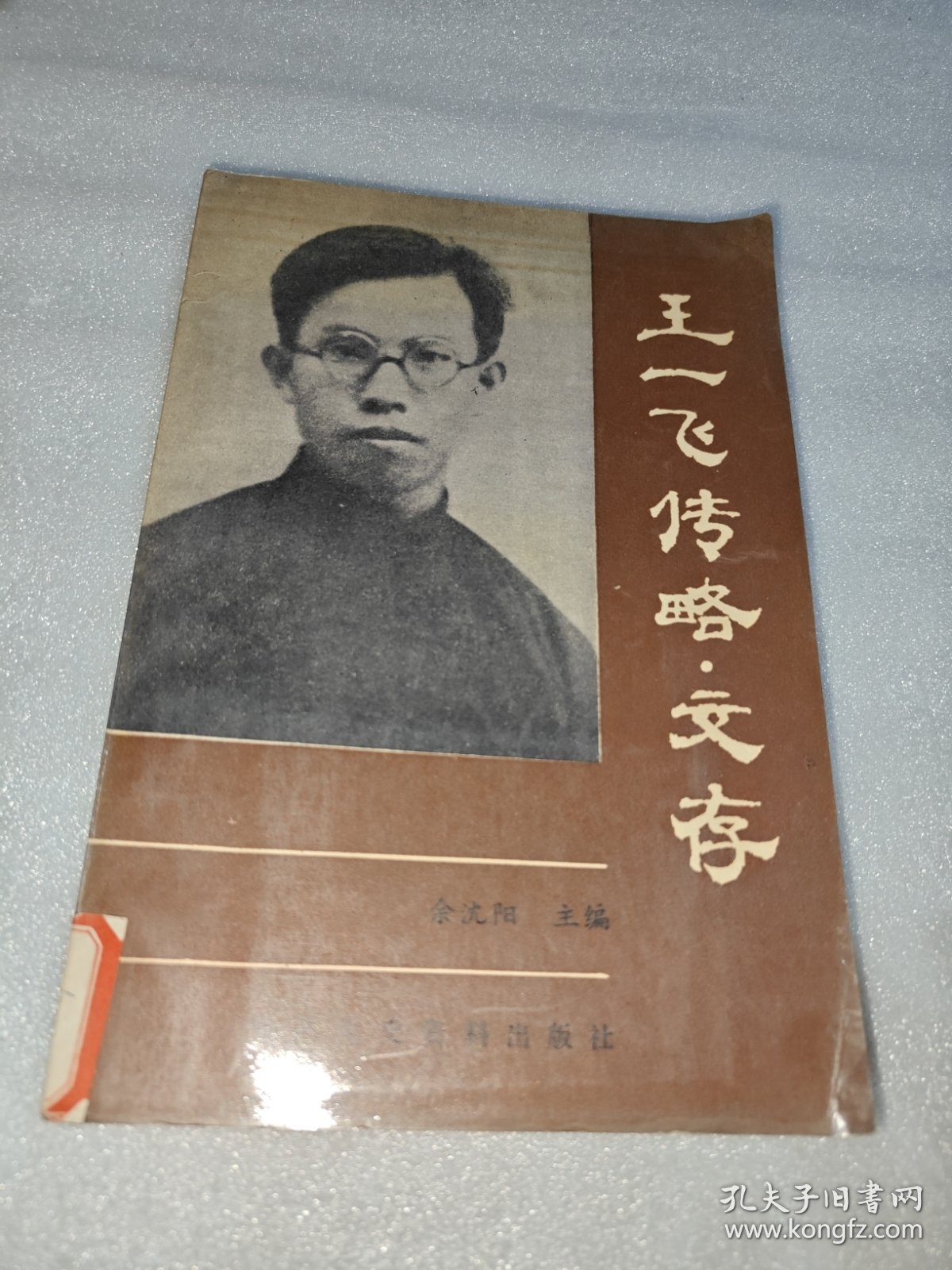 王一飞传略·文存