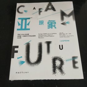 首届CAFAM未来展：亚现象.中国青年艺术生态报告 议论集(未开封)