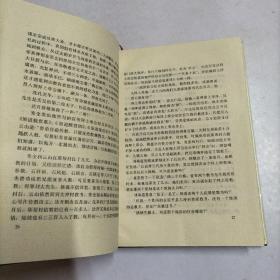 石达开:天国悲歌