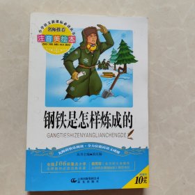 钢铁是怎样炼成的