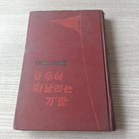 탑우에 휘날리는 기발 제1-2 부 제3 부 朝鲜文老书：塔上飘扬的旗帜