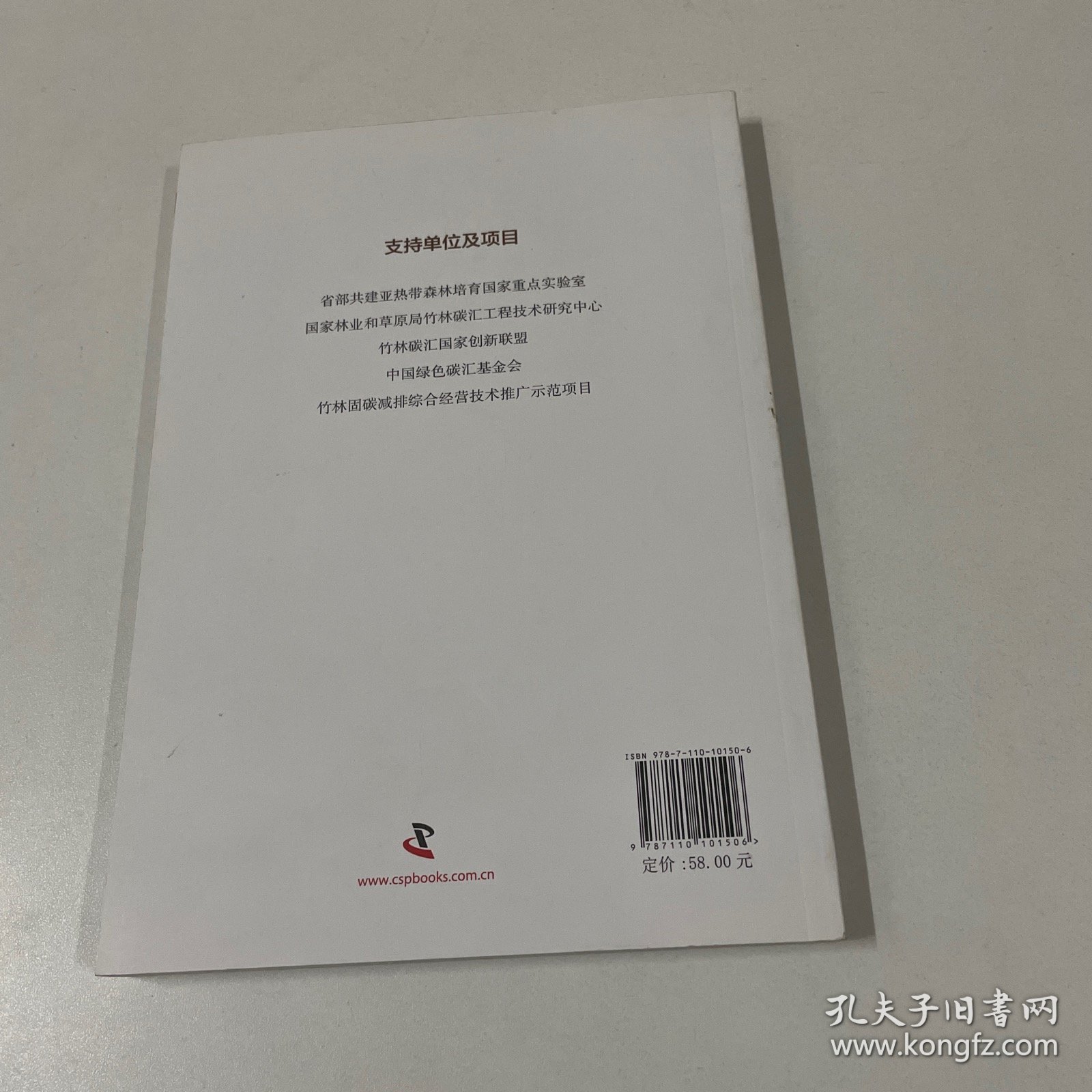竹林碳觅