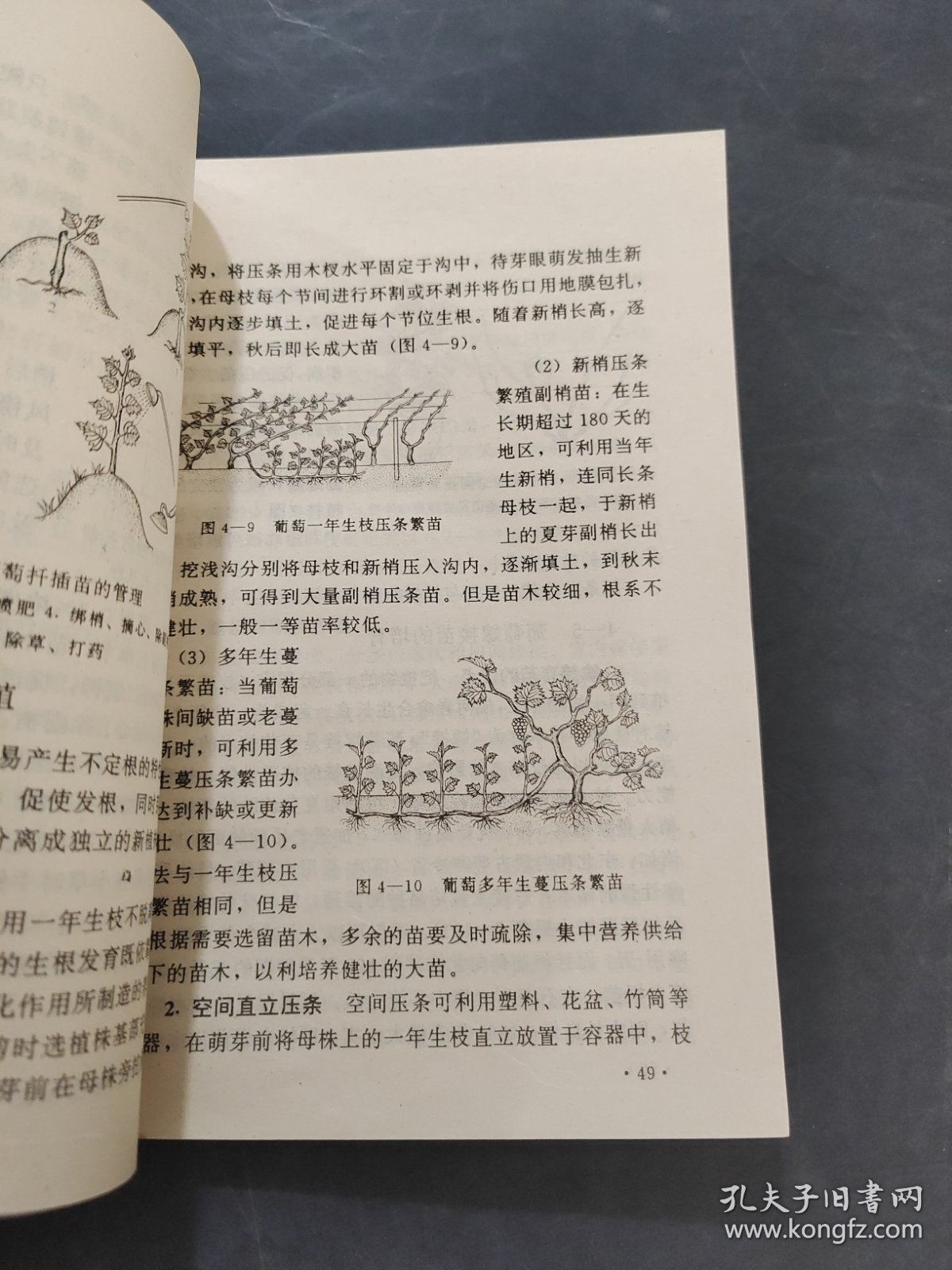 葡萄栽培图解