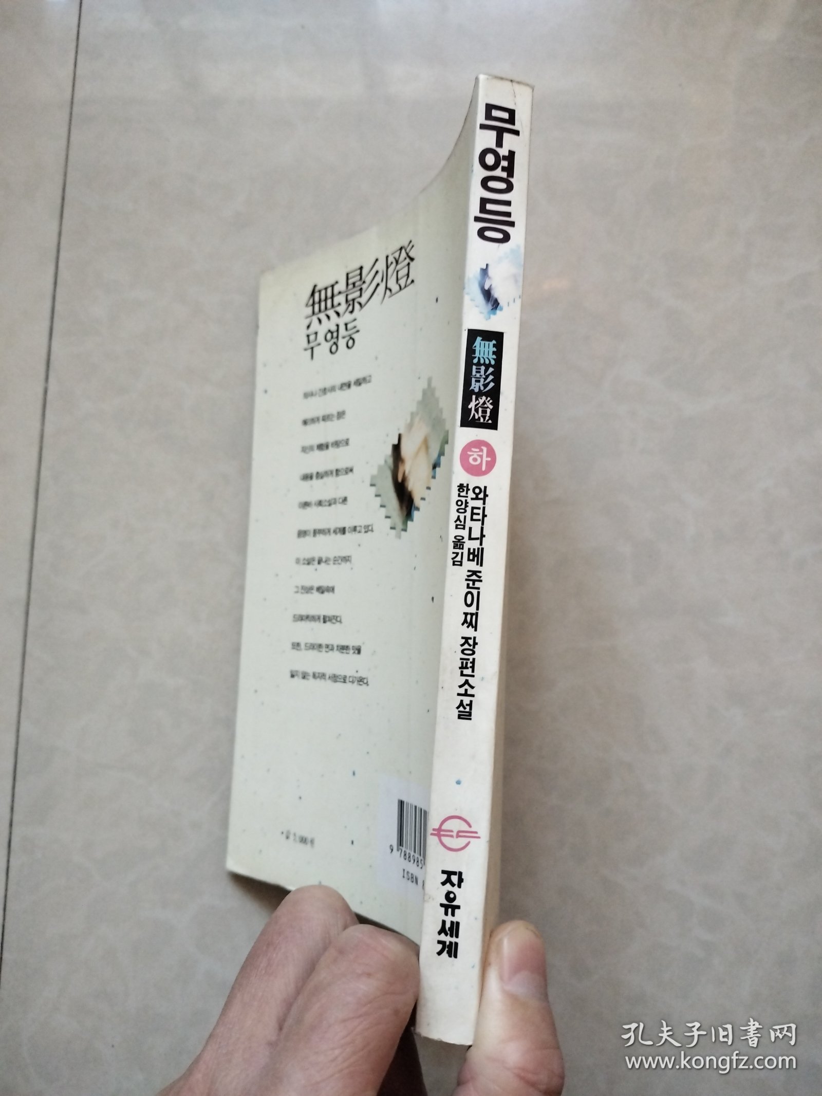 渡边淳一长篇小说 无影灯 下册