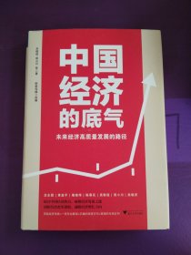 中国经济的底气：未来经济高质量发展的路径（顶级经济学家+一流专业解读）