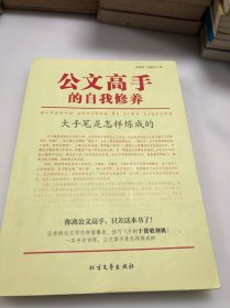 公文高手的自我修养：大手笔是怎样炼成的