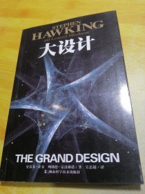 大设计