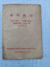 1973年镇安第三次 平下中农代表大会秘书组印《新年献词》