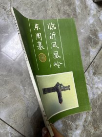 临沂凤凰岭东周墓