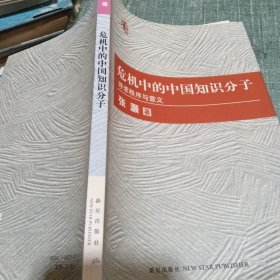 危机中的中国知识分子：寻求秩序与意义