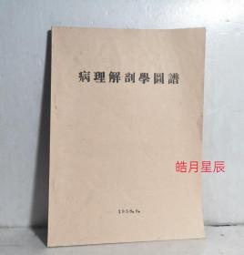 病理解部学图谱 1958年出版