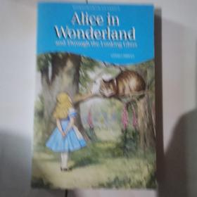 AIICE IN WONDERIAND 见图