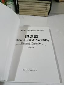 进之惑 : 进城农民工的文化适应困局