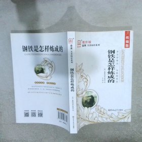 钢铁是怎样炼成的（全译本）