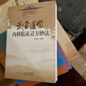 武当道医临证灵方妙法系列丛书：武当道医内科临证灵方妙法