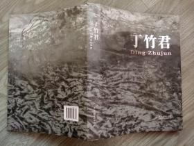 正版画册《丁竹君》，全品。