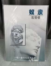 奴隶石膏像.附VCD