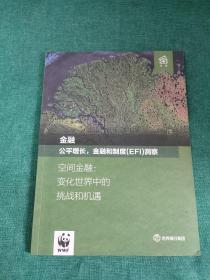 金融 公平增长，金融和制度(EFI)洞察 空间金融:变化世界中的挑战和机遇