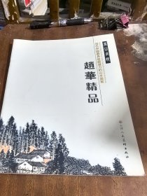 赵华作品