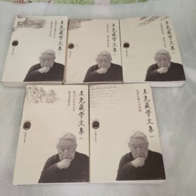 现代中国藏学文库：王尧藏学文集（1—5卷全）实物拍照 请看图