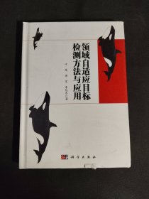 领域自适应目标检测方法与应用