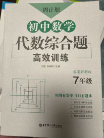 周计划：初中数学代数综合题高效训练（7年级）