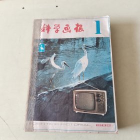 科学画报 1982年1--12期 全年 合订 108