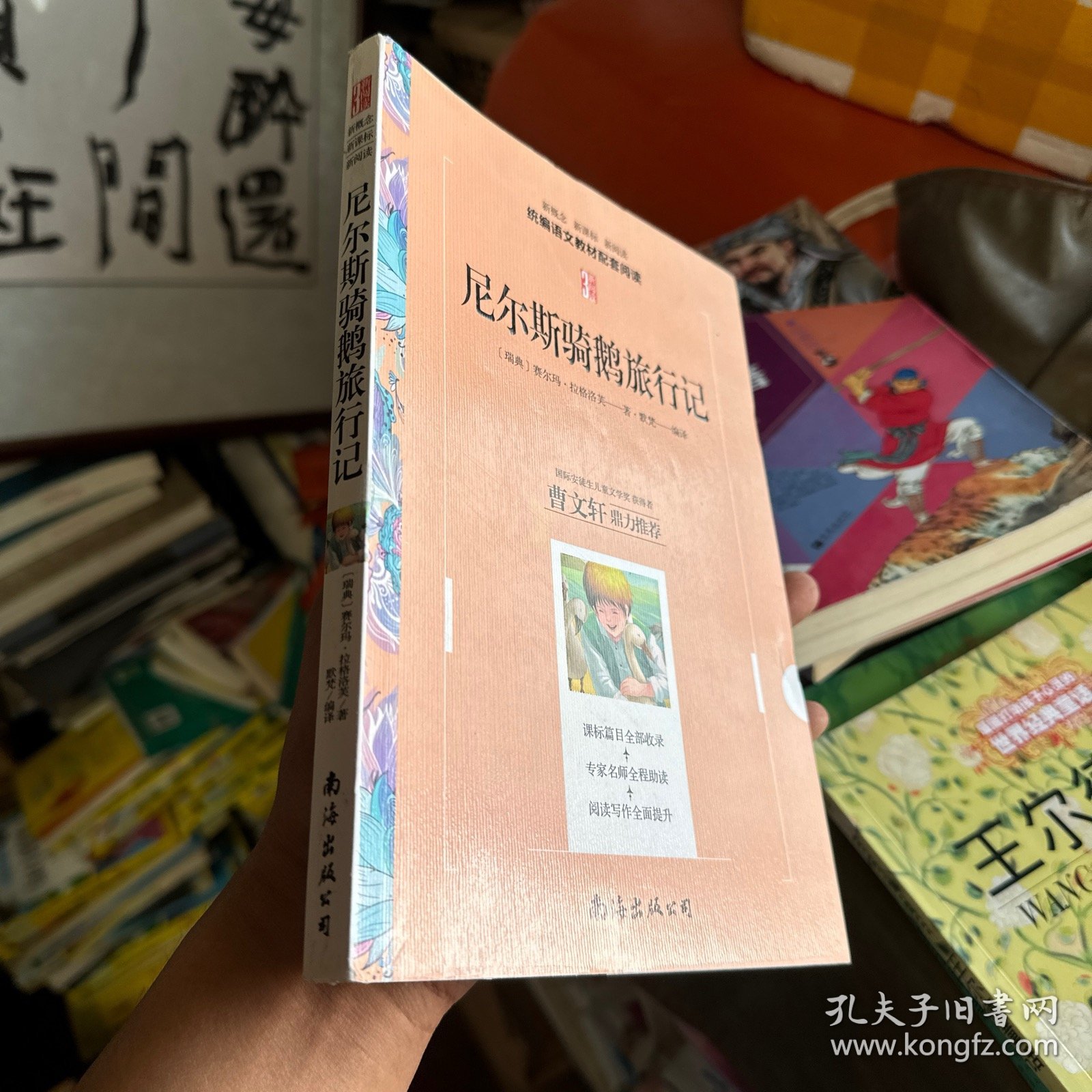 尼尔斯骑鹅旅行记