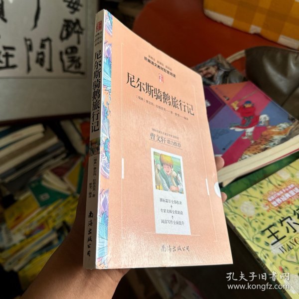 尼尔斯骑鹅旅行记