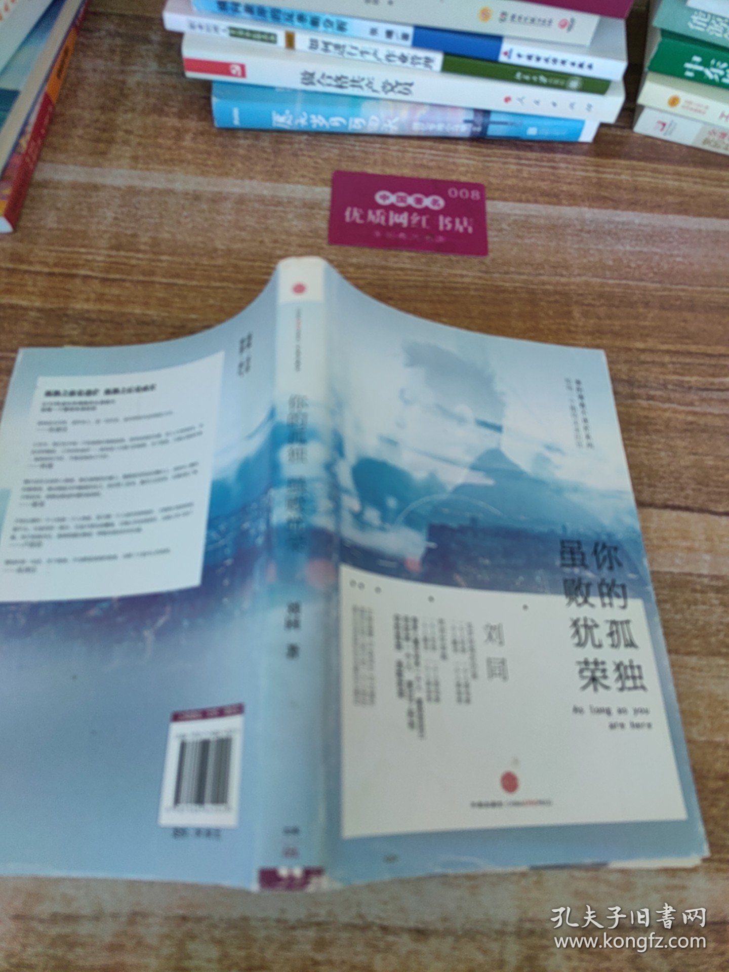 谁的青春不迷茫系列2 你的孤独，虽败犹荣