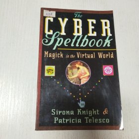 英文原版The cyber spellbook网络魔法书