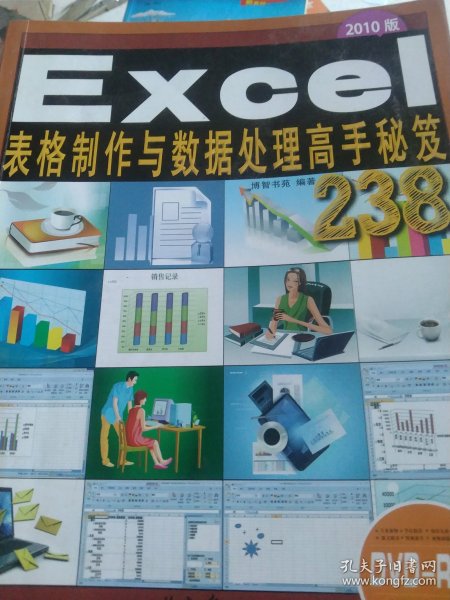 Excel表格制作与数据处理高手秘笈238招