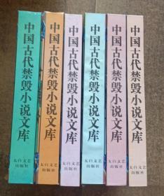 中国古代禁毁小说文库一一一第一辑全六卷精装