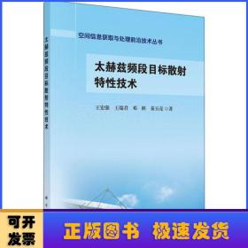 太赫兹频段目标散射特性技术