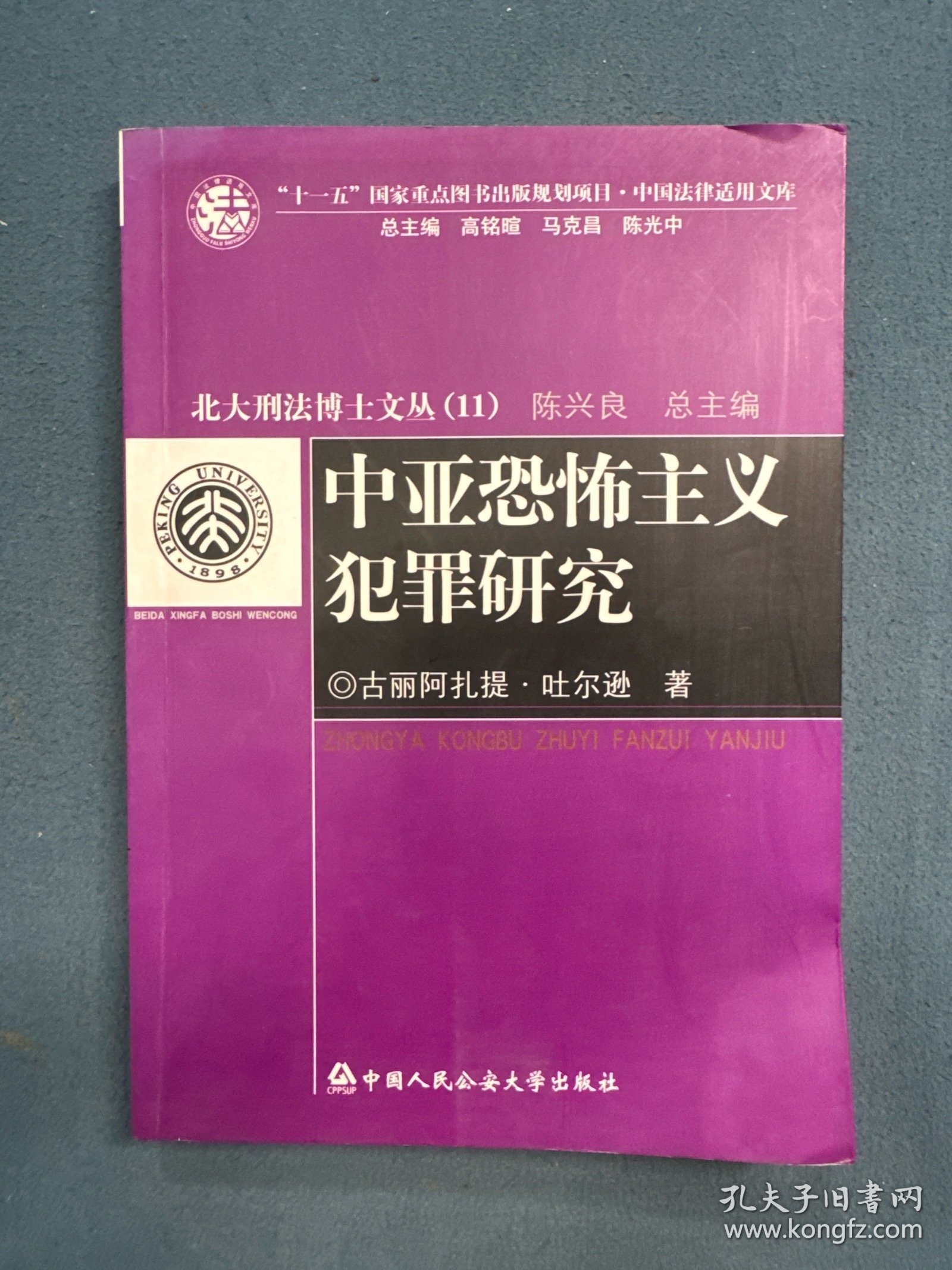 中亚恐怖主义犯罪研究