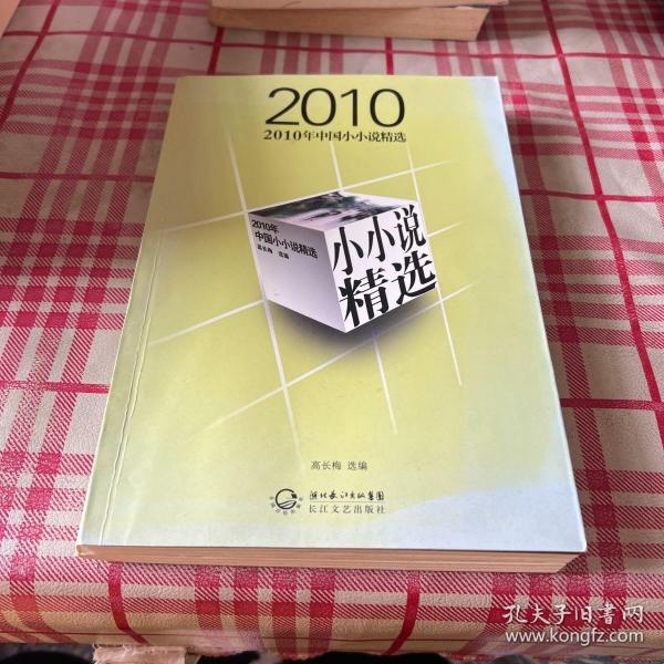 2010年中国小小说精选【一版一印】