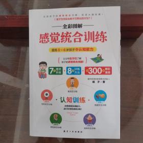 全彩图解感觉统合训练 0-6岁儿童的认知训练 家庭教育育儿百科男孩女孩多动症实用手册