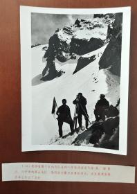 青海第十五地质队连续八年奋战在海拔五六千米的高山地区 照片长20厘米宽15厘米