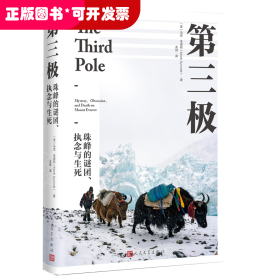 第三极 珠峰的谜团、执念与生死（讲述了扑朔迷离、艰难险阻的珠峰探险之旅。）