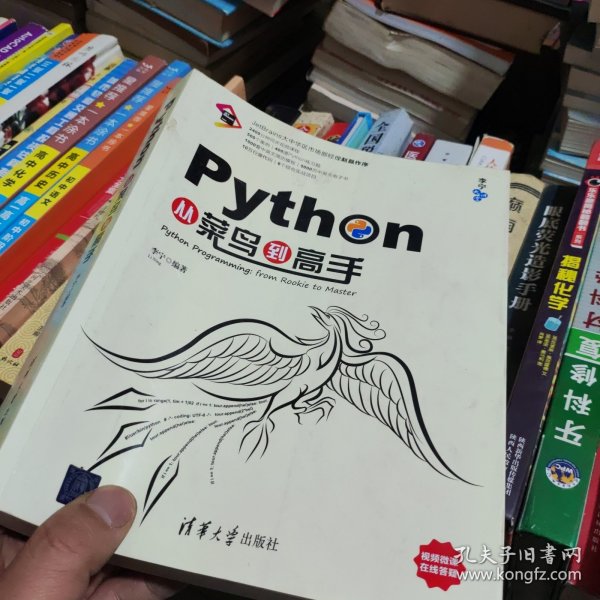 Python从菜鸟到高手