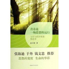 青春是一场思想的远行 : 文化与经济现象微思考