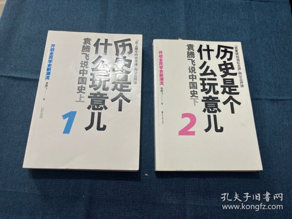 历史是个什么玩意儿2：袁腾飞说中国史下