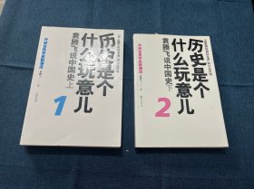 历史是个什么玩意儿2：袁腾飞说中国史下