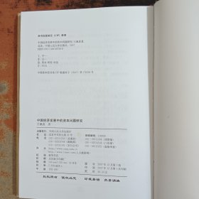 中国经济发展中的资本问题研究