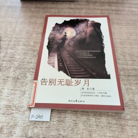 告别无耻岁月上下册